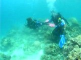 Darylaut Shipwreck  in Anilao Mabini, Batangas, Philippines