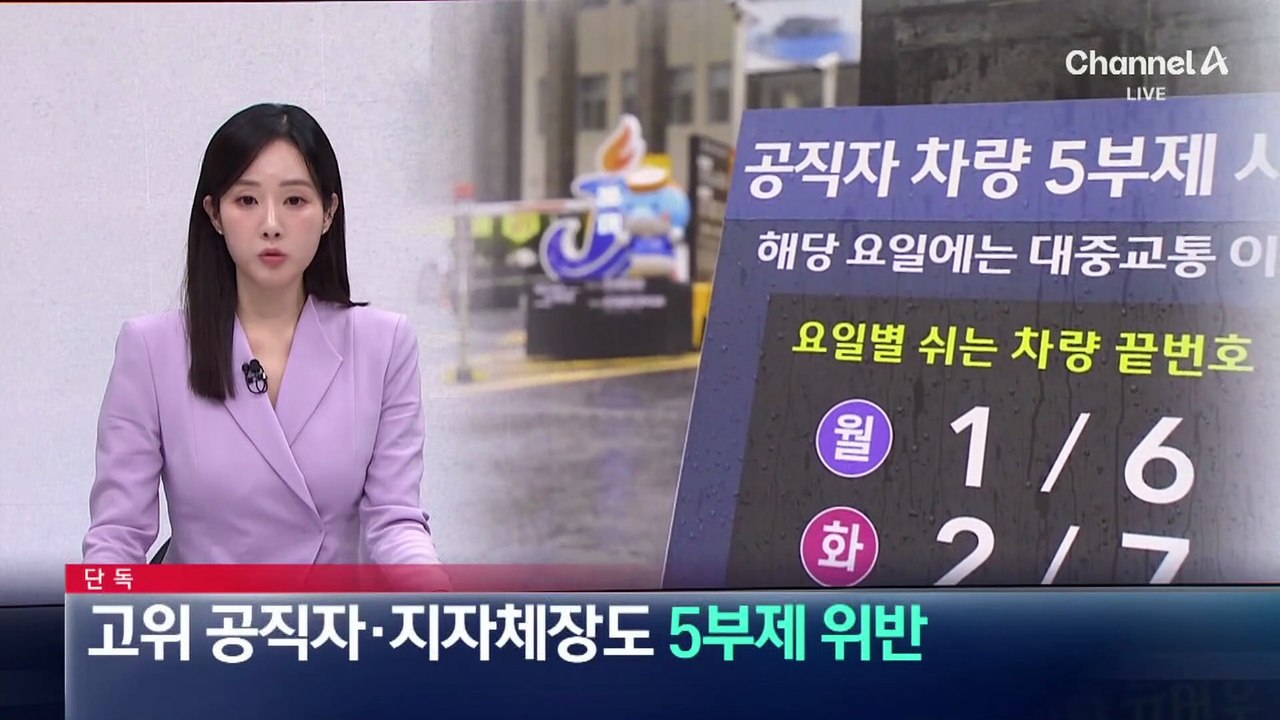 [단독]고위 공직자·지자체장도 차량 5부제 위반