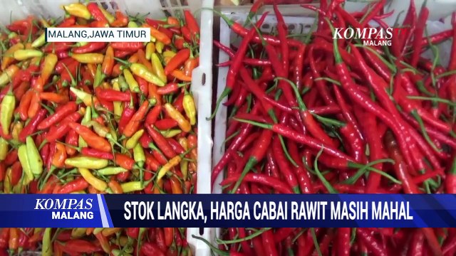 Stok Langka, Harga Cabai Rawit Masih Mahal