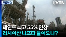 페인트도 최고 55% 인상...러시아산 나프타 수입 청신호 / YTN