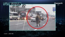 [김종석의 리포트]퇴근길 ‘말 달리자’…20분 만에 끝난 탈주극