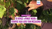 Η Ζαν ντ’ Αρκ ίσως έτρωγε το ίδιο σταφύλι με εμάς: Το «Pinot Noir» υπήρχε ήδη στον Μεσαίωνα