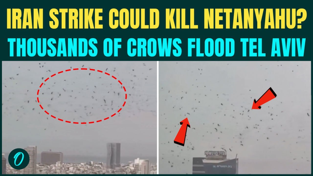 Iran to OBLITERATE Tel Aviv, KILL Netanyahu? Crows SWARM Tel Aviv Sky | Internet Cries ‘BAD OMEN’