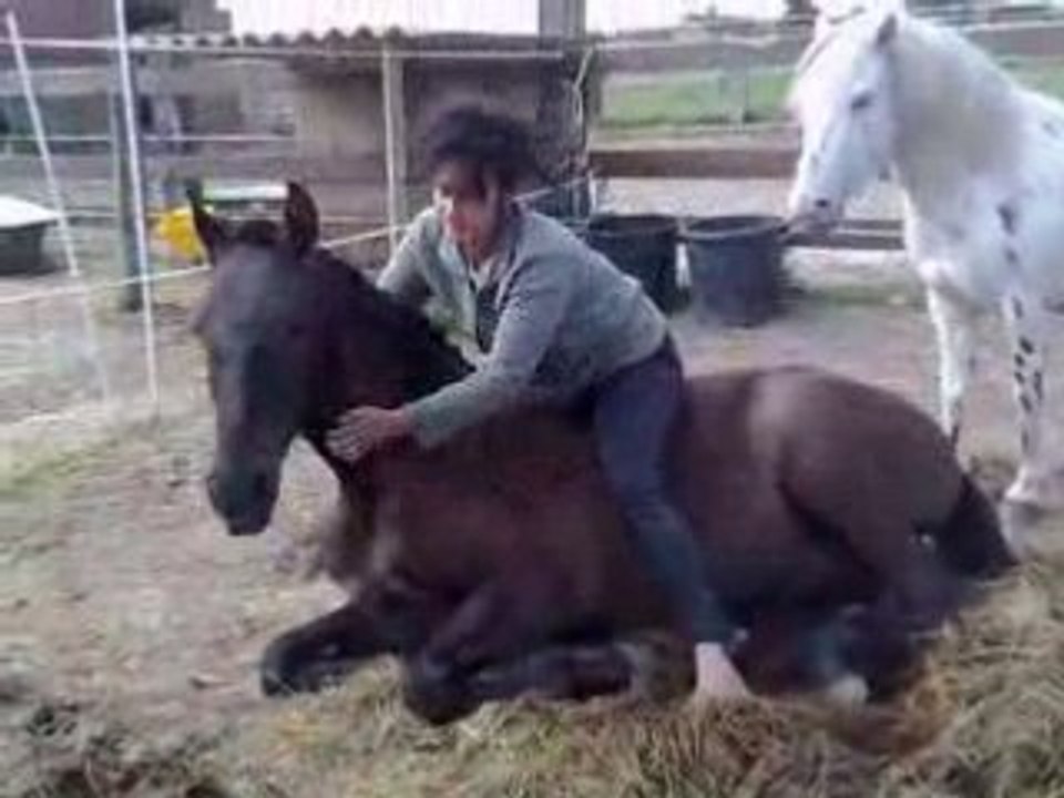 coucher torero