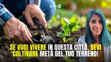 Se vuoi vivere in questa città, devi coltivare metà del tuo terreno