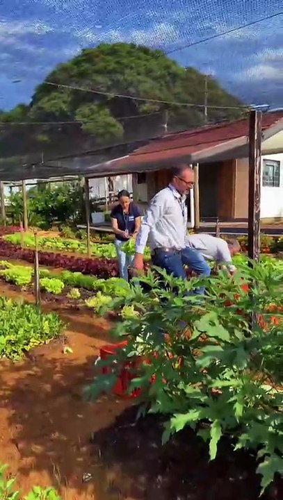 Produção da Fazendinha da Expo Umuarama é doada ao Banco de Alimentos