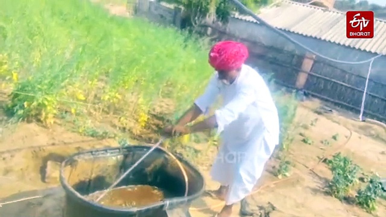No Gas, No Problem: Farmers In Rajasthan's Barmer Set Up Biogas Plants Using Cow Dung