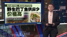 开心聚餐却被账单吓坏  “天价”蒸鱼 售价902令吉