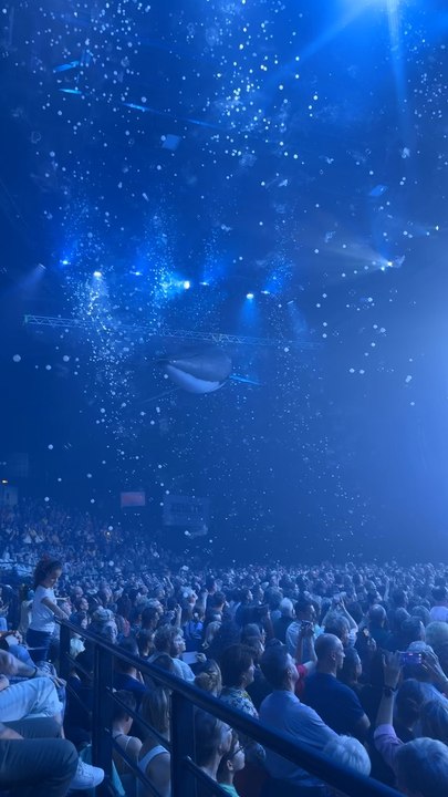 Julien Doré - Zénith de Caen 2026