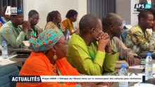 Projet ABEE - l’Afrique de l’Ouest mise sur la science pour des cultures plus résilientes