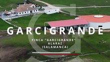 BENÉFICA TOLEDO - GARCIGRANDE