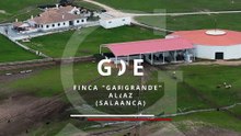 PREVIA BENÉFICA TOLEDO - GARCIGRANDE
