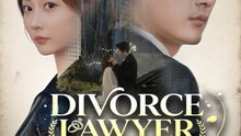 Divorce Lawyer, Married by Mistake