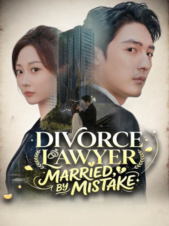 Divorce Lawyer, Married by Mistake