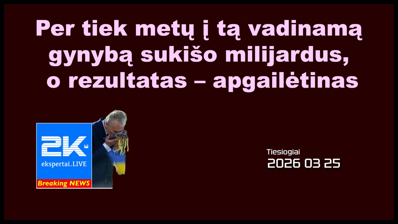 2K+ 2026 03 25