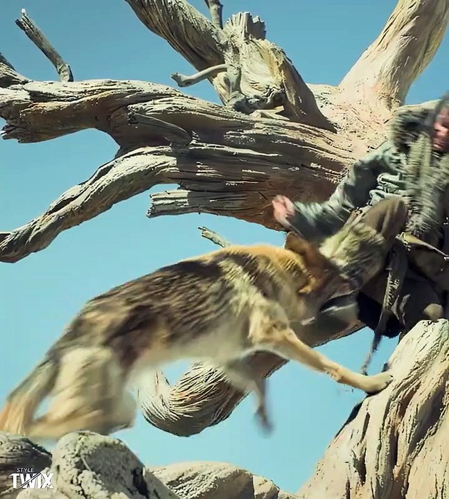 🐺 Keda Saves an Injured Wolf – Powerful Emotional Rescue Moment 😢