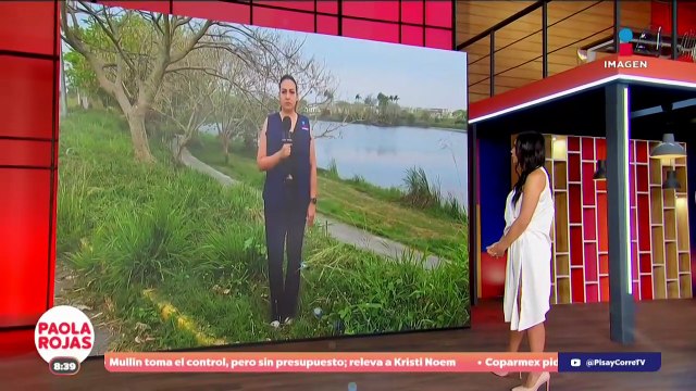 Derrame de hidrocarburo afecta económicamente a Veracruz | DPC con Paola Rojas