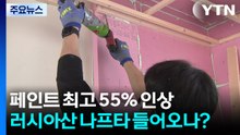 페인트도 최고 55% 인상...러시아산 나프타 수입 청신호 / YTN