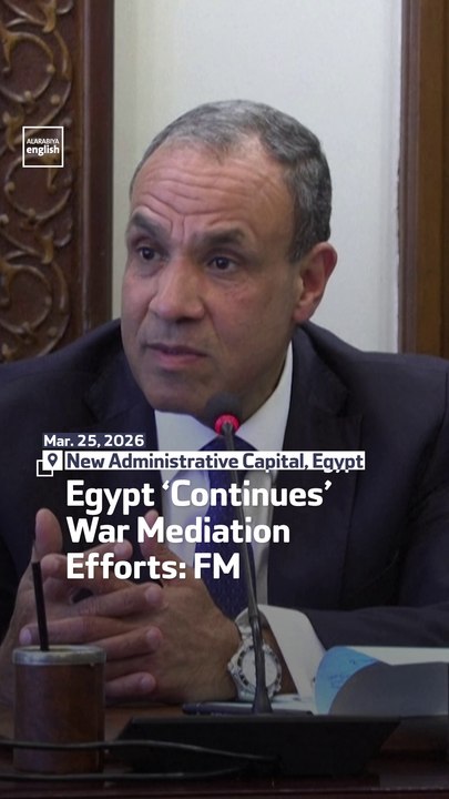 Egypt ‘Continues’ War Mediation Efforts: FM