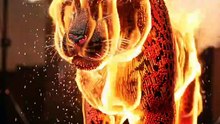 Epic Leopard Made of 10,000 Burning Matchsticks! Mind-Blowing Fire Art