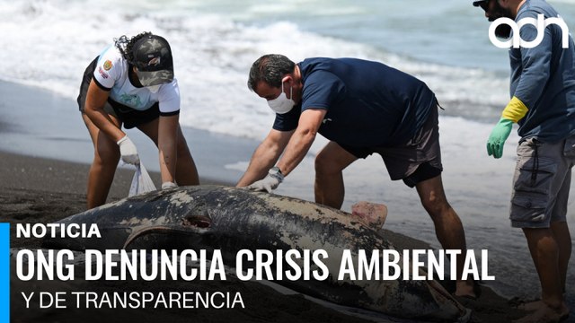ONG denuncia crisis ambiental y de transparencia tras derrame de petróleo en el Golfo de México