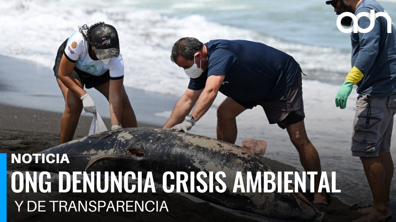 ONG denuncia crisis ambiental y de transparencia tras derrame de petróleo en el Golfo de México