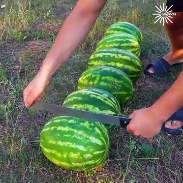 Tips on slicing and dicing like a pro🥒