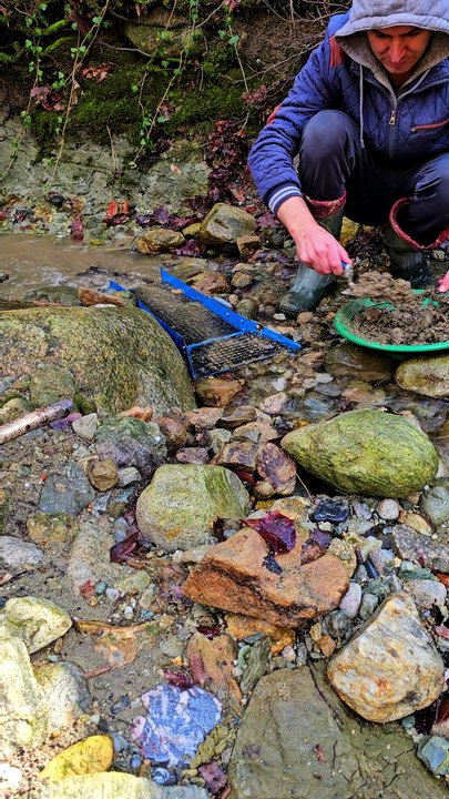 Gold Rush  This Old Creek Bed Has Huge Gold Reserves 1