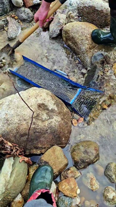 Gold Rush  This Old Creek Bed Has Huge Gold Reserves 2