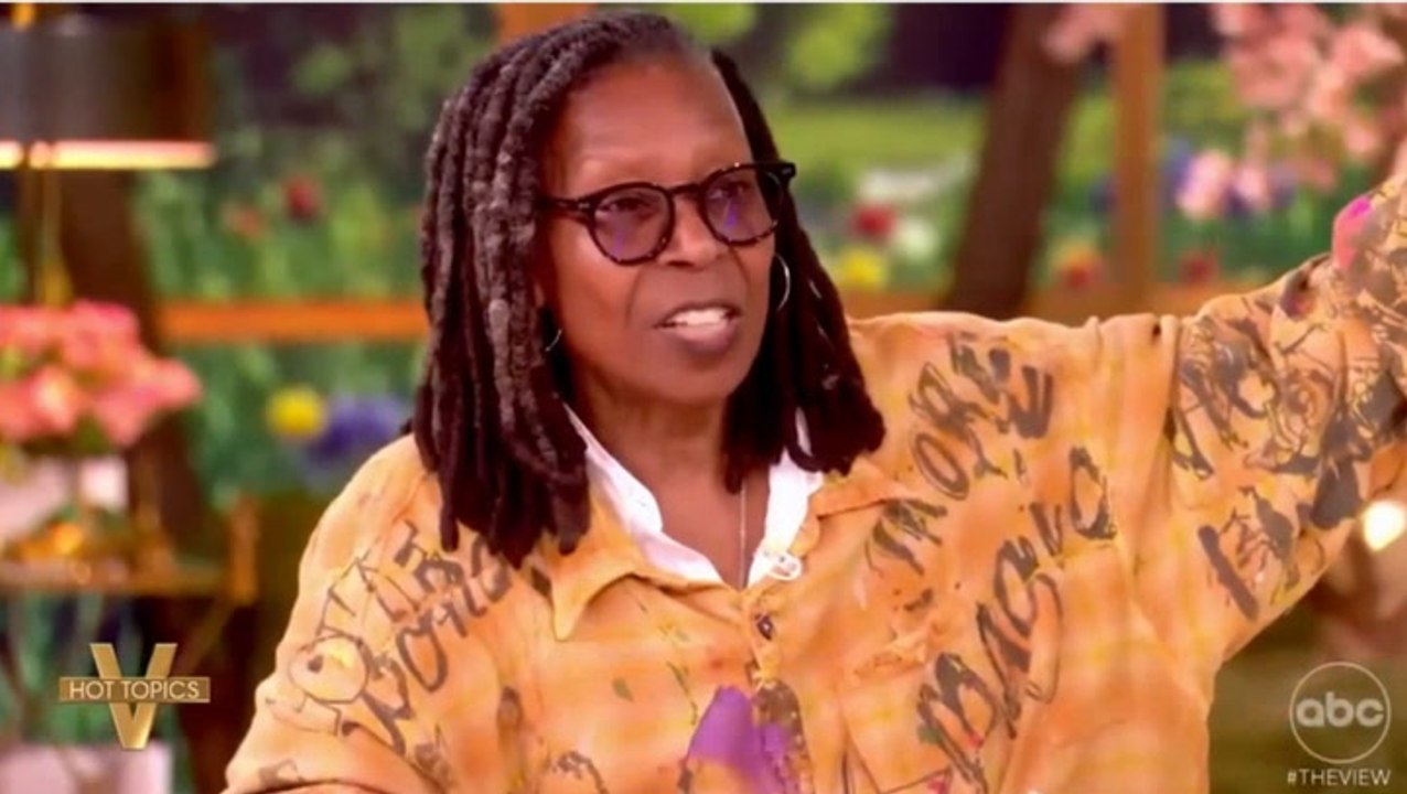 Whoopi Goldberg schooled on voter ID during SAVE America Act debate