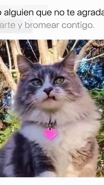 cuando alguien que no te gusta quiere hablar contigo