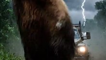 Lion_attacks_moving_ truck