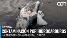 Contaminación por hidrocarburo impacta comunidades y ecosistemas