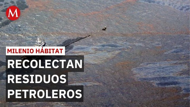 Derrame de hidrocarburos llega a 165 kilómetros de costa en Veracruz y Tabasco | Milenio Hábitat