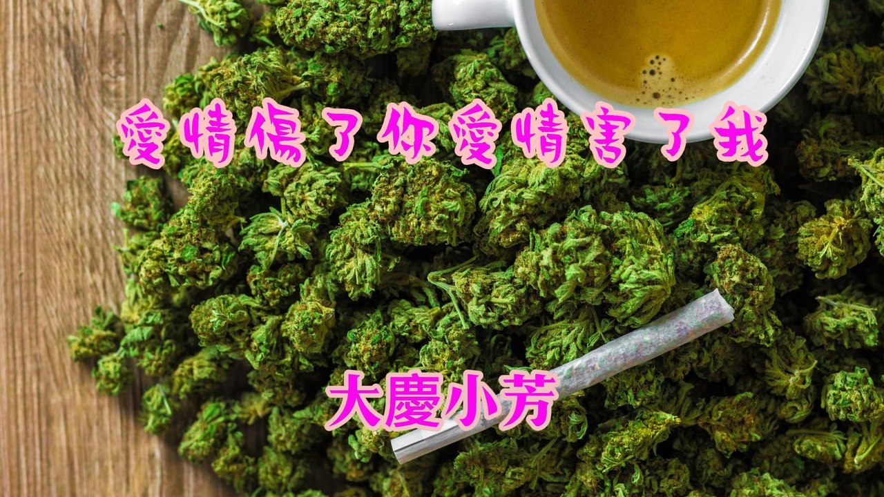 大慶小芳-愛情傷了你愛情害了我(並四版)『就算煙不再抽酒也不再喝為了你唱的歌怎能不唱呢』#大慶小芳 #愛情傷了你愛情害了我(並四版) #大慶小芳廣場情歌舞曲大全【動態歌詞/Lyrics Video】