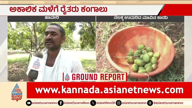 ಹಾವೇರಿಯಲ್ಲಿ ಮಣ್ಣು ಪಾಲಾದ ಮಾವು! ಅಕಾಲಿಕ ಮಳೆಗೆ ರೈತ ಕಣ್ಣೀರು | Haveri Mango Crop Loss | Suvarna News