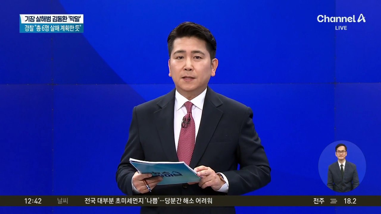 퇴근길 제주 도로에 말 1마리 난입…‘아찔 질주’
