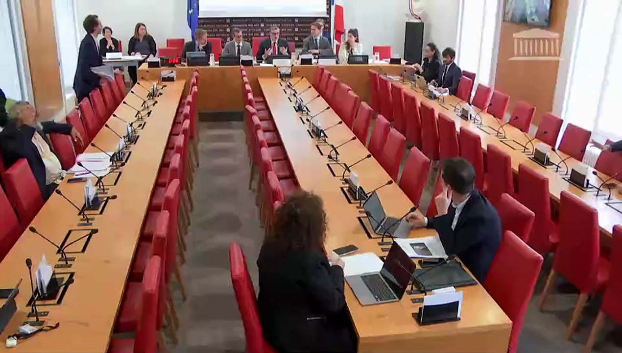 Commission des lois : Projet de loi constitutionnelle relatif à la Nouvelle-Calédonie (suite) - Mercredi 25 mars 2026