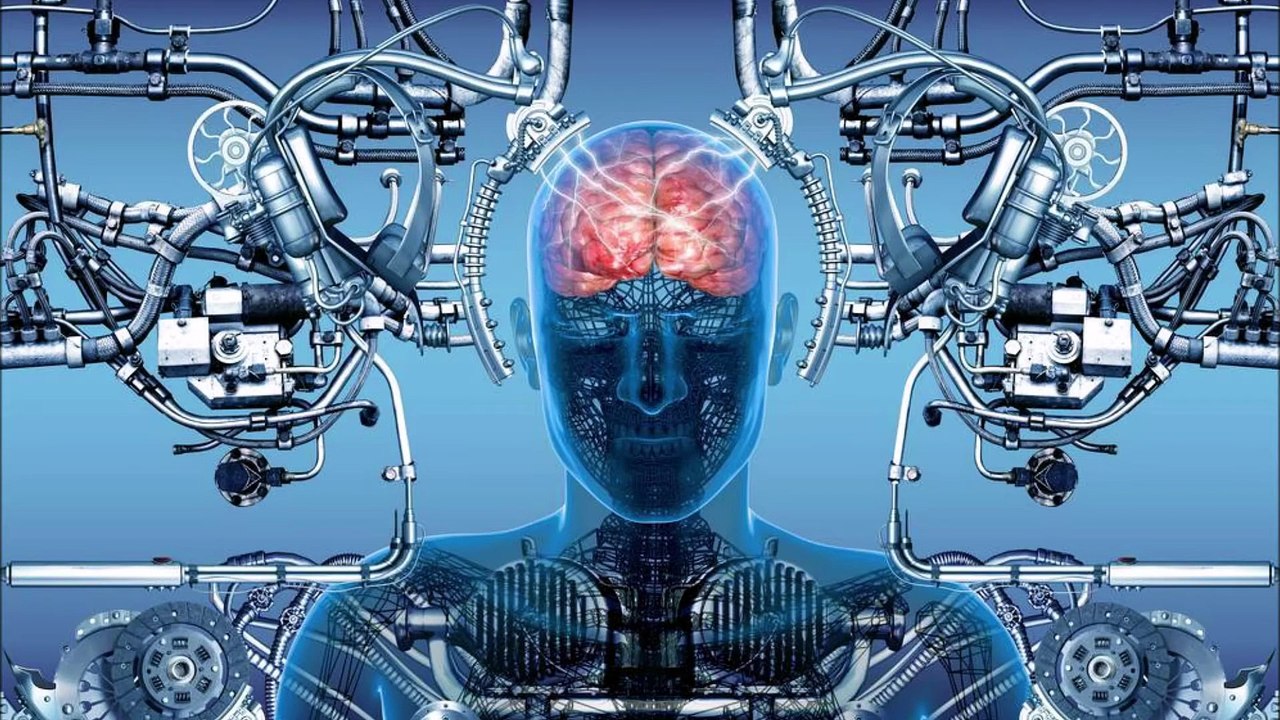 Das Vermächnis der Moorvögel Hörbuch deutsch