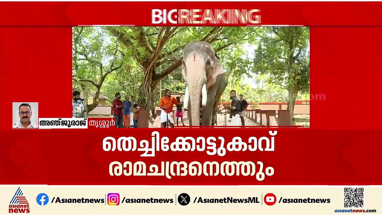 തൃശ്ശൂർ പൂരം; ഇത്തവണ തെച്ചികോട്ടുകാവ് രാമചന്ദ്രൻ ചെമ്പുക്കാവ് ഭഗവതിയുടെ തിടമ്പേറ്റും