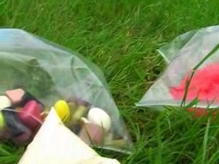 installation performance arboretum