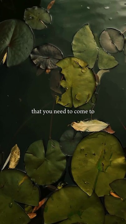 3 Truths That Will Protect Your Peace