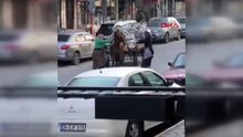 Avcılar’da aşırı yük taşıtılan ata sopa ve kemerli şiddet kamerada