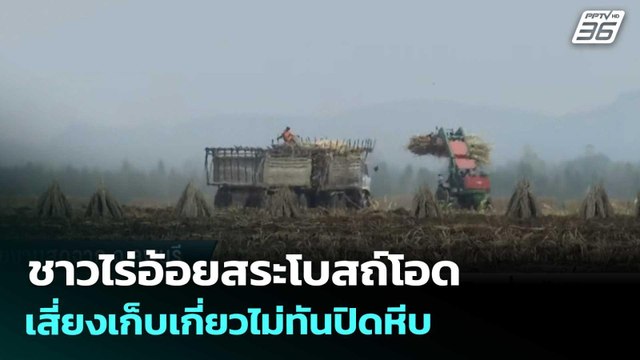 ชาวไร่อ้อยสระโบสถ์โอด เสี่ยงเก็บเกี่ยวไม่ทันปิดหีบ | เข้มข่าวเย็น | 26 มี.ค. 69