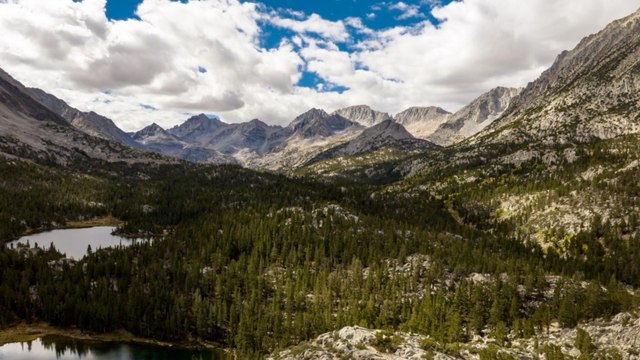 A Closer Look at California's 'Zombie Forests' Amid a Warming Climate