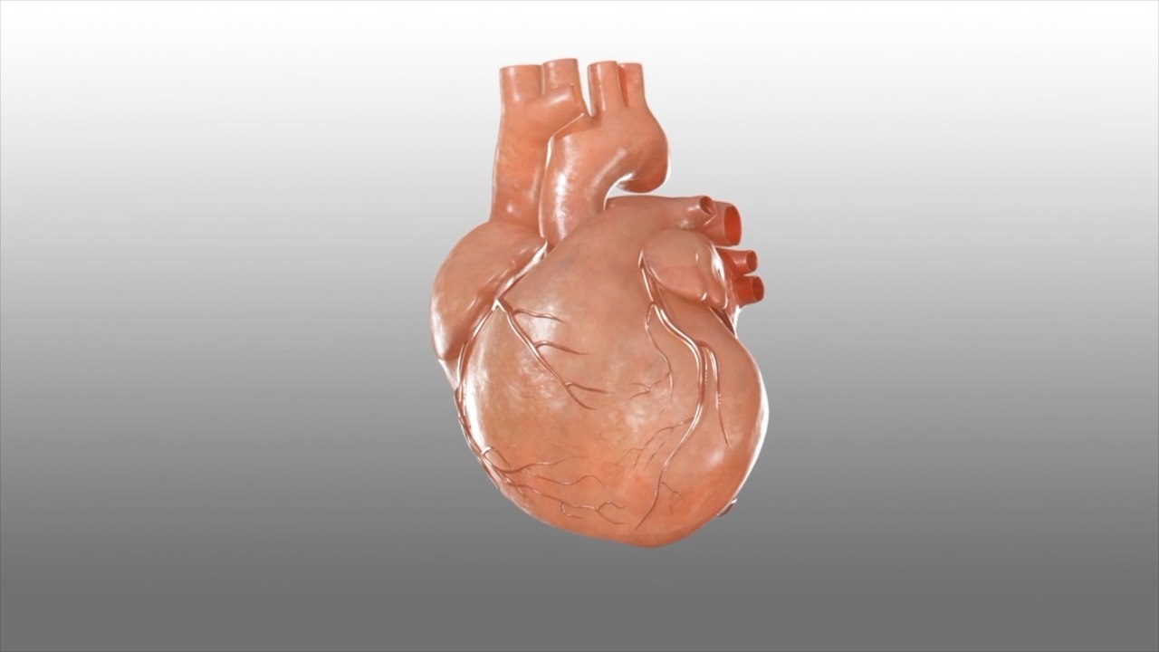 Healthy Heart Habits: Practical Lifestyle Tips for Wellness