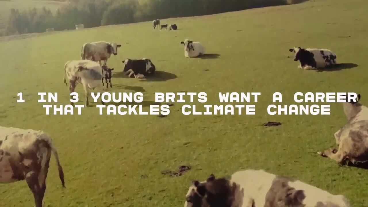 Gen Z Wants Analytical Work and Climate-action...