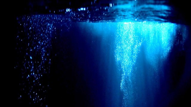 Underwater Heatwaves Quietly Disrupt Ocean-Floor Ecology