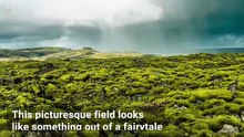 The story behind Eldhraun: Iceland's lava field and its infamous past
