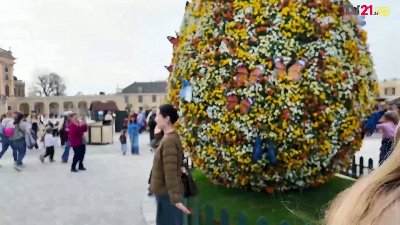 Frühlingszauber in Schönbrunn  Der Oster- & Frühlingsmarkt ist eröffnet